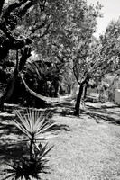 DSC_7793 A1